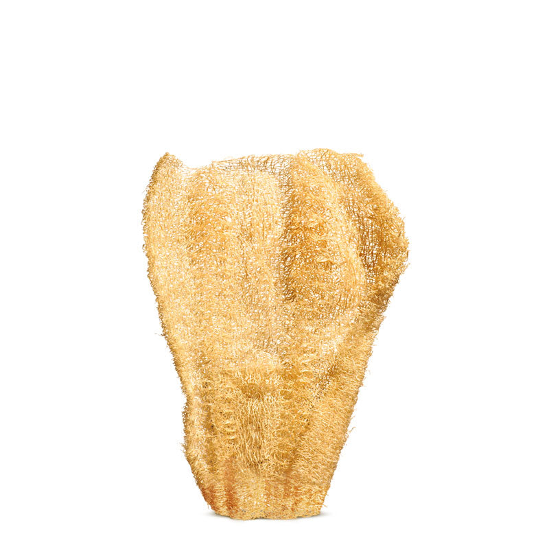 Corpus Fluentis Ayuna